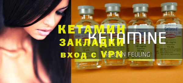 шишки Дмитриев