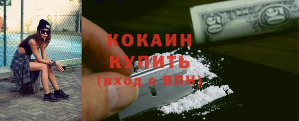 шишки Дмитриев