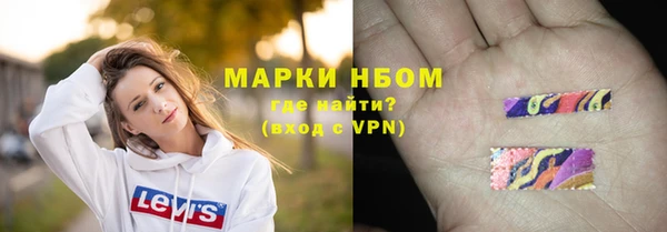 шишки Дмитриев