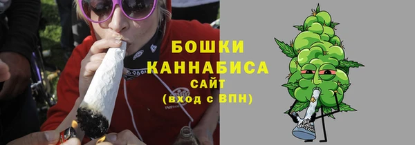 шишки Дмитриев