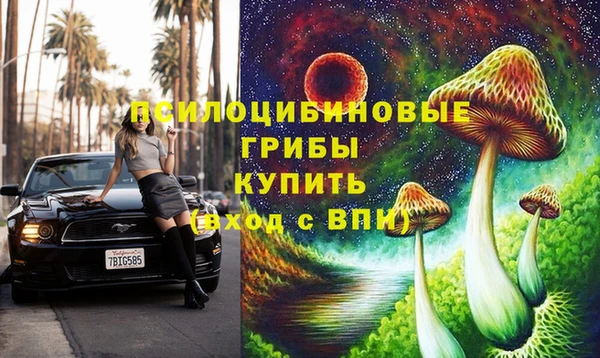 спайс Дмитровск