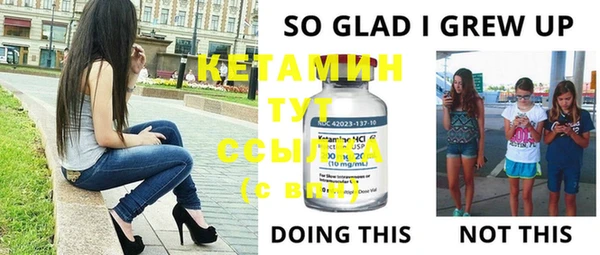 шишки Дмитриев