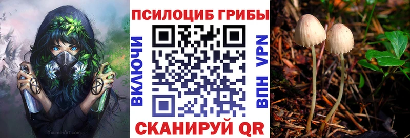 Галлюциногенные грибы мухоморы  Купить закладки  Новый Оскол 